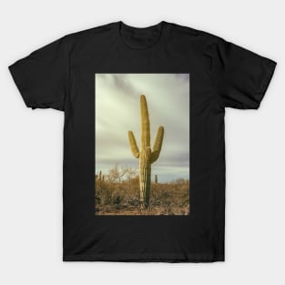 Saguaro T-Shirt